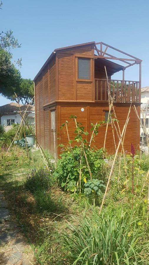 Casa de madera de Sancti Petri Villa Chiclana de la Frontera Exterior foto